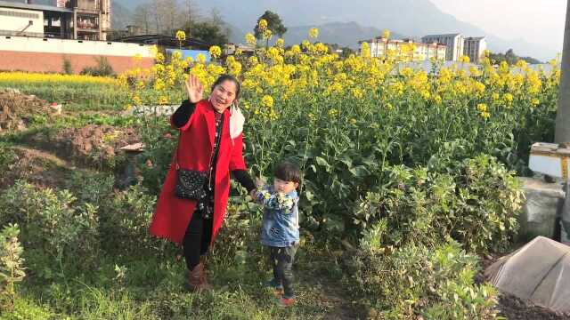 在这春暖花开阳光明媚天气,我们去郊外散步踏青,春游真好玩