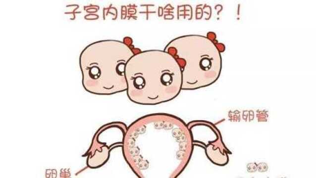 子宫内膜还有薄厚之分?