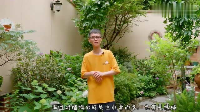 我的喷雾系统,是时候为大家展示它真正的“技术”了