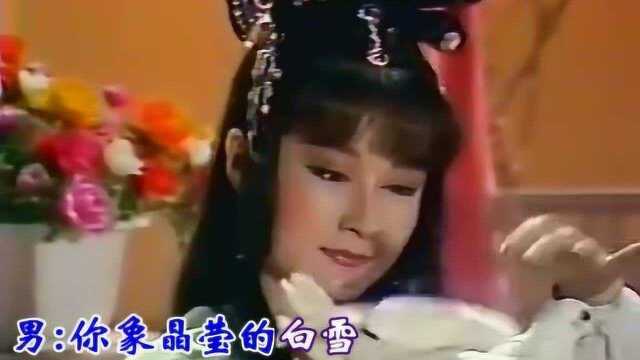 金佩珊,徐乃麟  《神州侠侣》主题曲及片尾曲mv