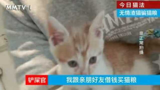 猫间新闻直播