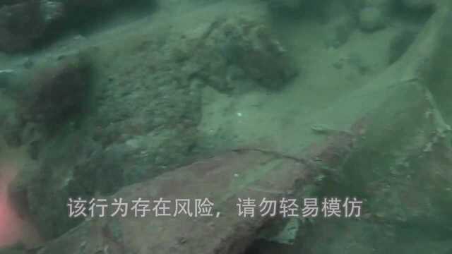 这些遍布水下的废弃渔网严重影响生态