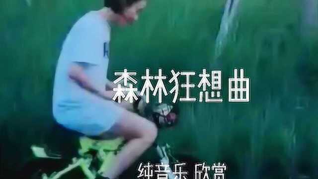 森林狂想曲纯音乐,感受大自然的声音,宛如清朗流水抹去身心疲惫