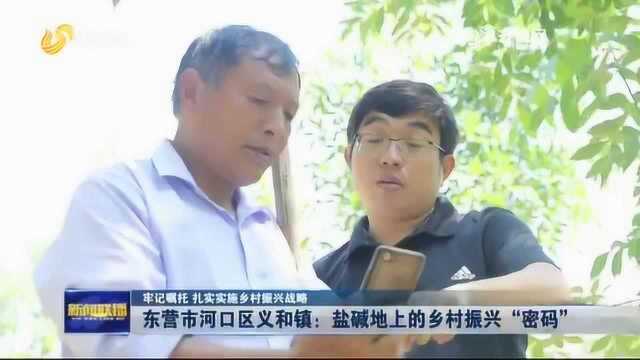 【牢记嘱托 扎实实施乡村振兴战略】东营市河口区义和镇:盐碱地上的乡村振兴“密码”