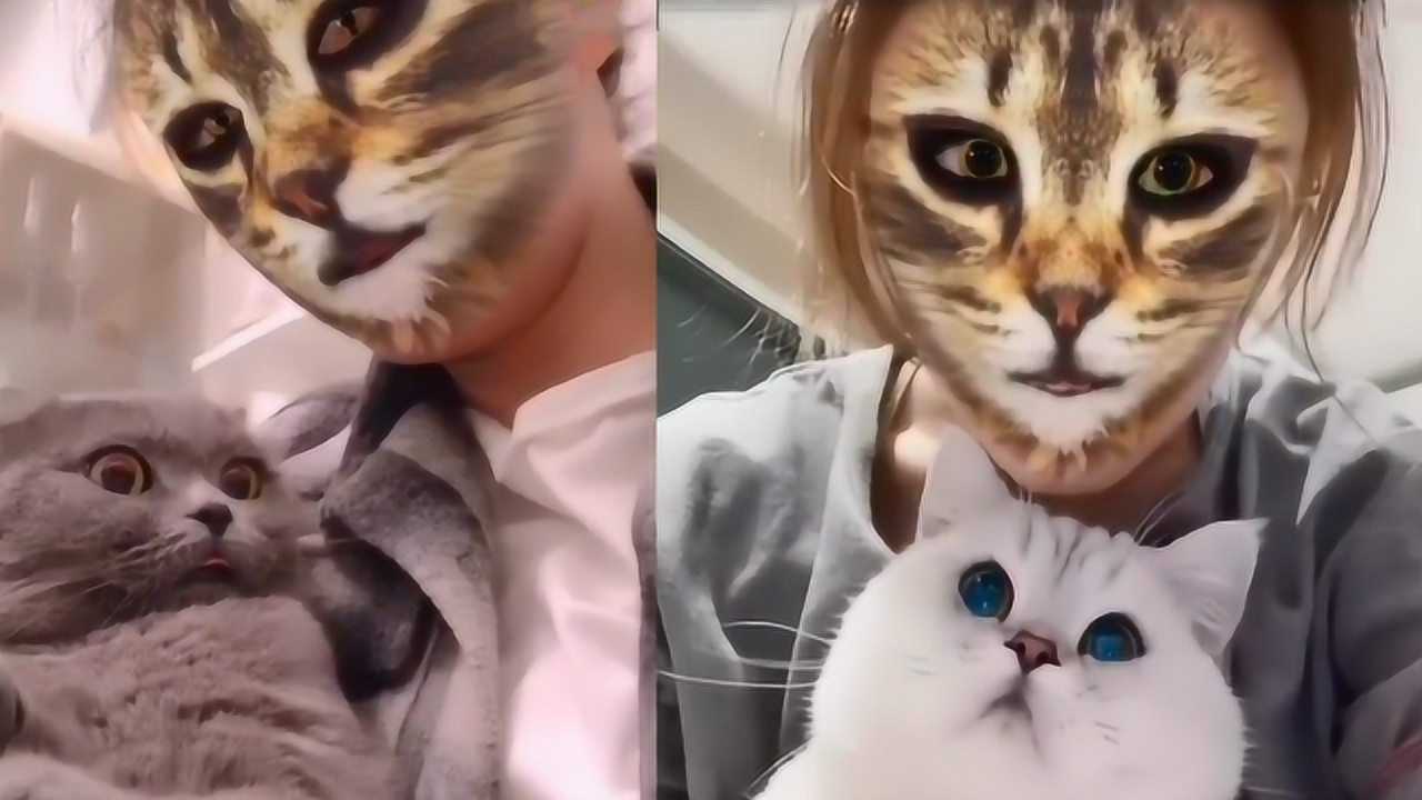 国外掀起一股变猫热人脸秒变猫脸喵星人看到后的表情太可爱了