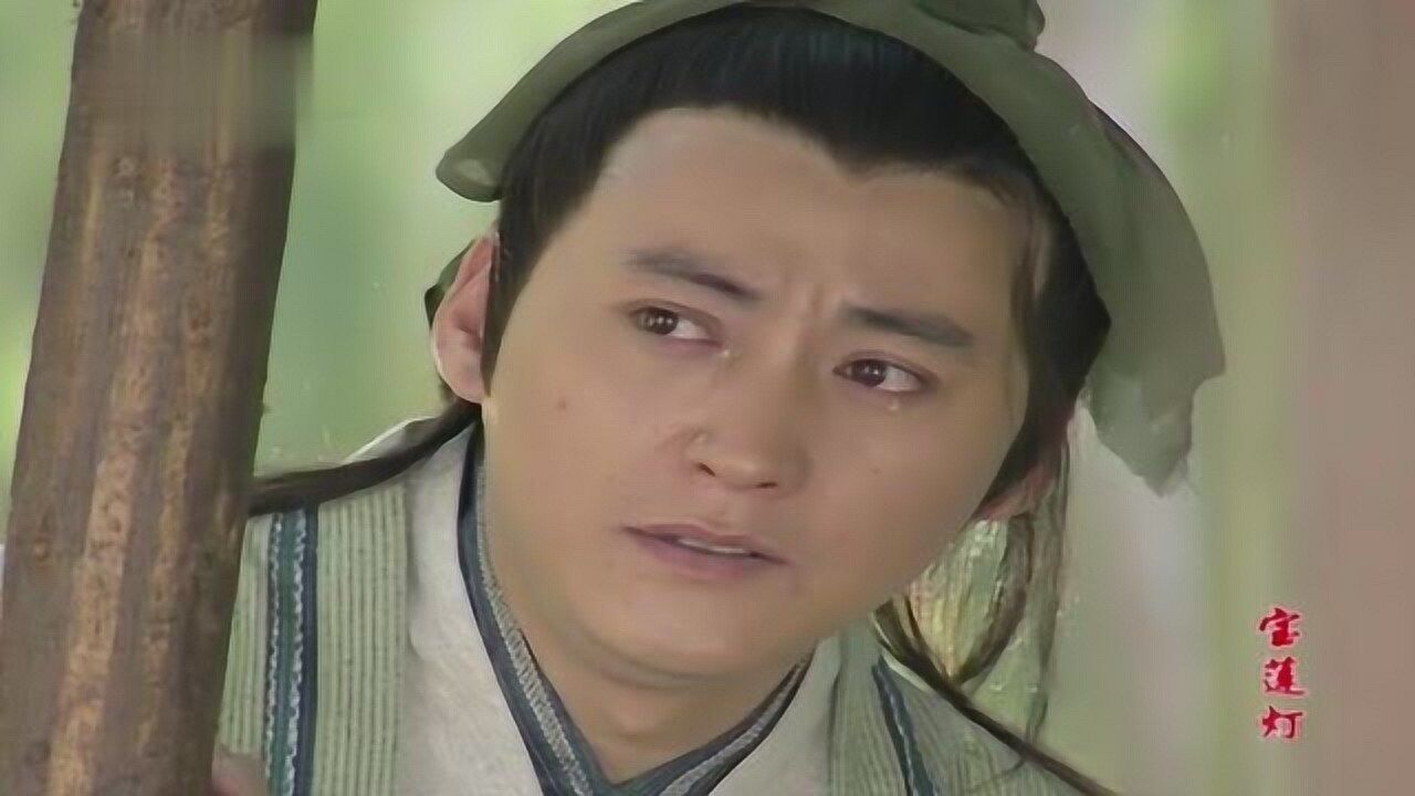 宝莲灯:刘小锋不愧是一个专业的演员,凭自己的实力演绎出经典!
