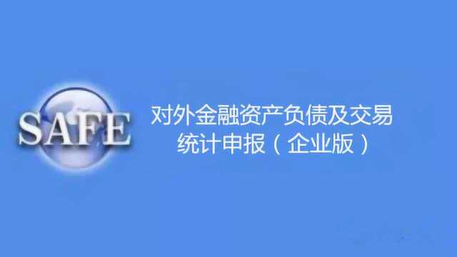 对外金融资产负债及交易统计申报(企业版)