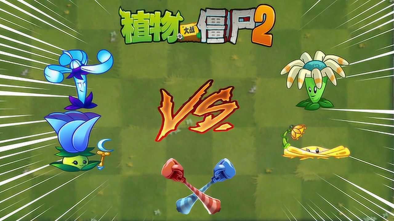 pvz2超z 夜影龙葵vs回旋镖射手_腾讯视频