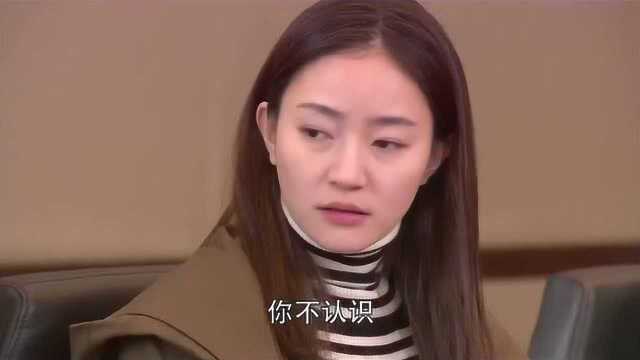 公司突然开会,设计图再次泄露,嫌疑人直指小秋