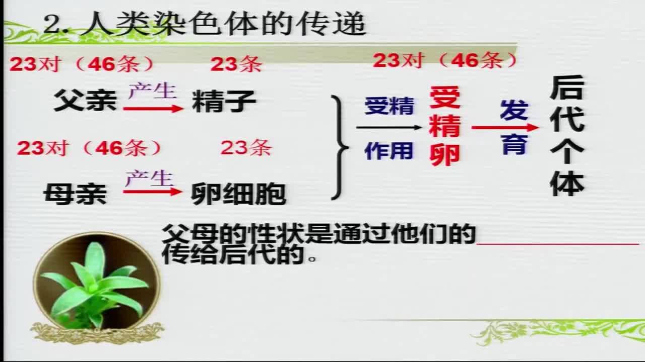 7.1八年级生物生物的遗传和变异_高清