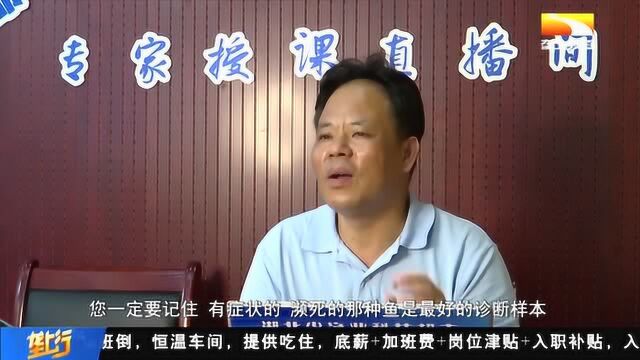 助力渔业提质增效,“湖北省渔业科技超市”上线