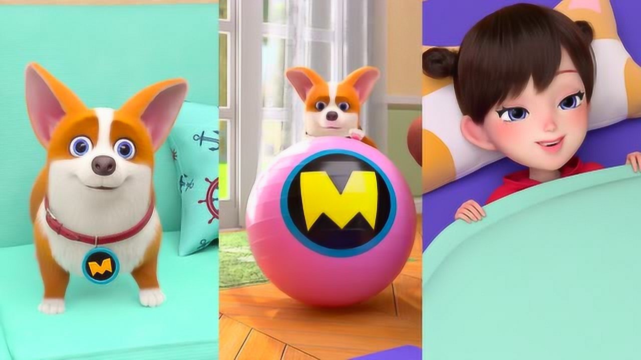 飞狗moco主人终究是我错信了