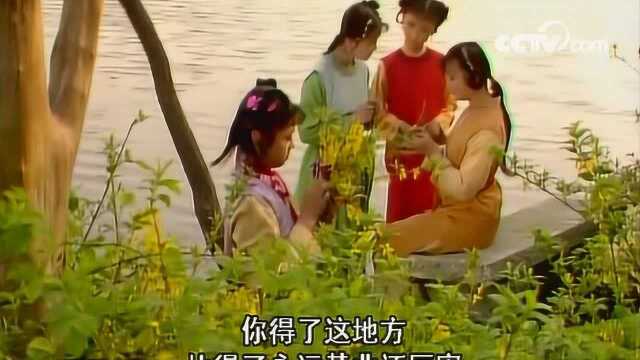 红楼梦:春燕过来照看花草,不料竟跟小姐妹们编起了花篮,还真是童心未泯!