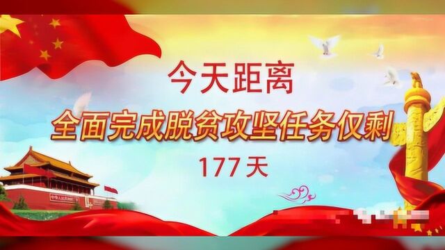 2020年7月7日临夏人民广播电视台FM97.3《临夏新闻联播》