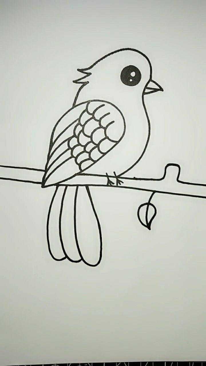 这样画的小鸟真是太可爱了,显得俏皮又漂亮