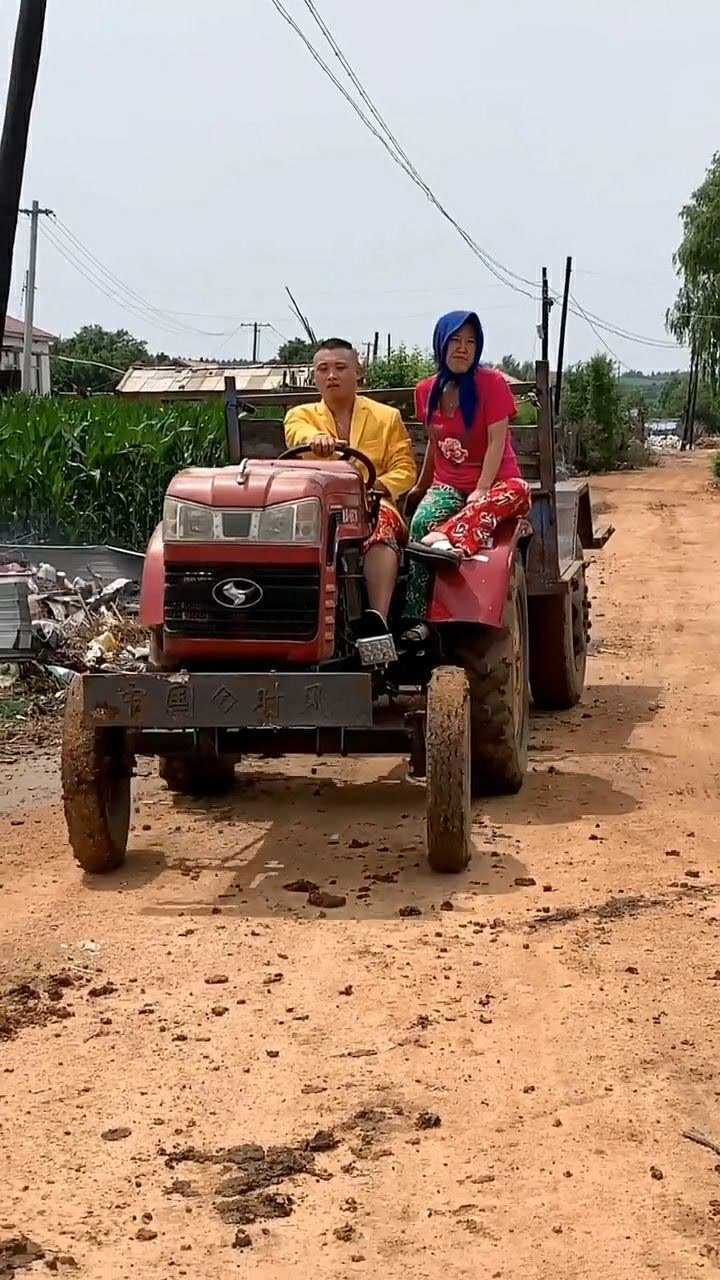 有一种野菜叫婆婆丁,东北人的传统