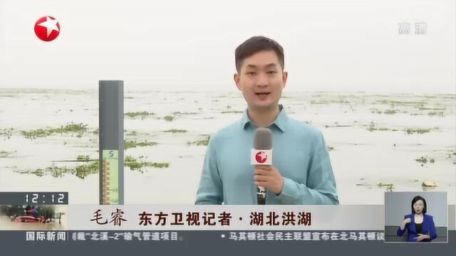 湖北洪湖:水位居高不下 未来几天将迎大暴雨