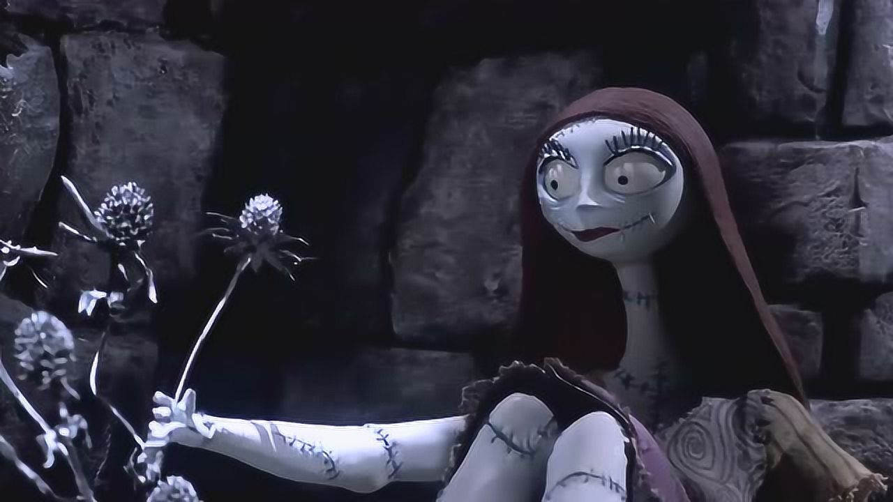 圣诞夜惊魂莎莉被手里花的变化惊呆了