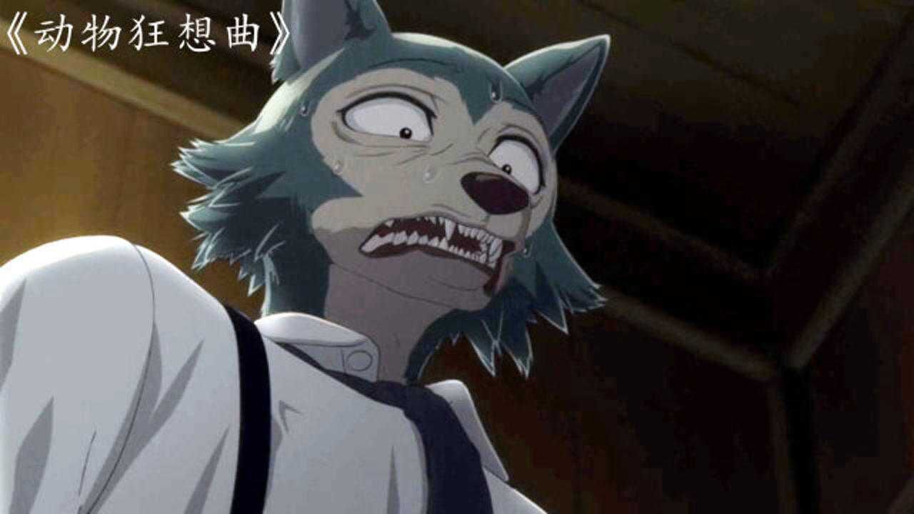 《动物狂想曲》小白兔过于主动,步步逼近大灰狼,吓的大灰狼花容失色!_高清1080P在线观看平台_腾讯视频