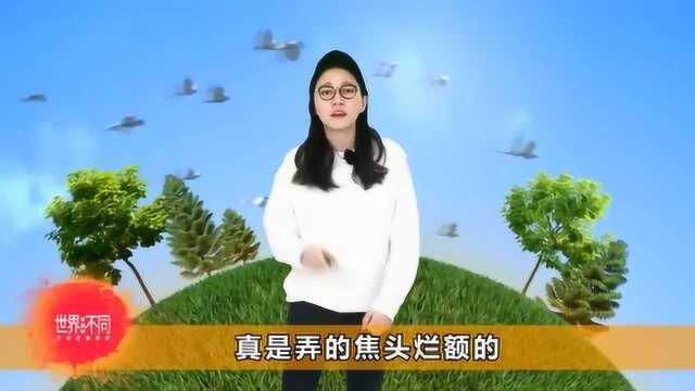 VR应用学习驾驶领域,,将帮助我们更好把握路况