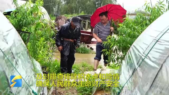 雨天请注意农田排涝,威海荣成农业部门积极有效应对强降雨天气