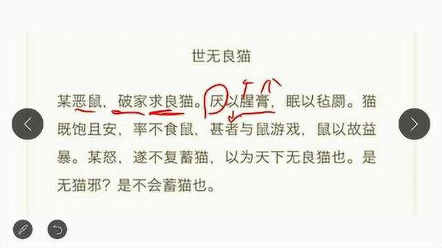 文言文 世无良猫