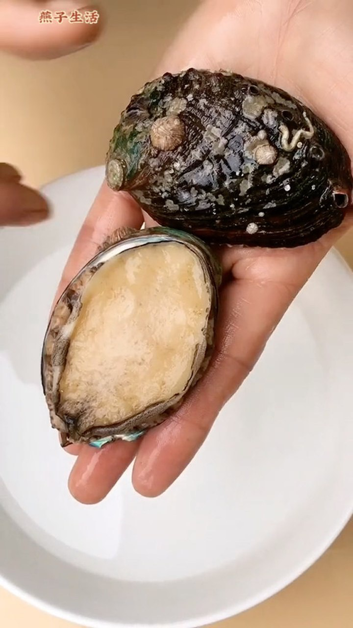 教你怎么清洗鲍鱼,你学会了吗