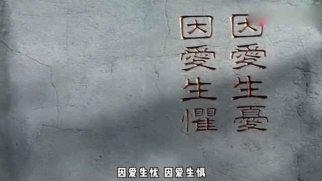 《双瞳》后续:一起起案件,让人匪夷所思!