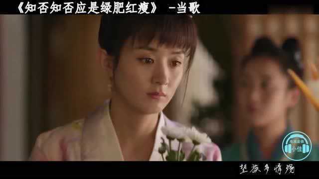 《知否知否应是绿肥红瘦》主题曲《知否知否》歌词书尽离人愁