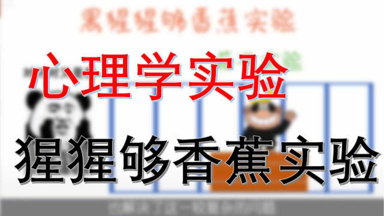 趣味科普：心理学实验之黑猩猩够香蕉实验_高清