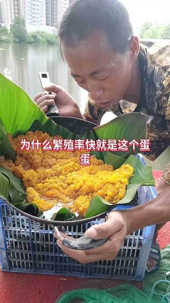义务清理清道夫,保护生态