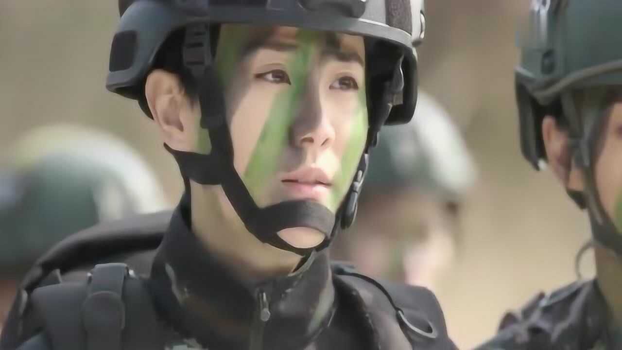 特种兵之霹雳火谢思潇看着黑龙高兴的上车走掉原来这狗子一点都不爱我