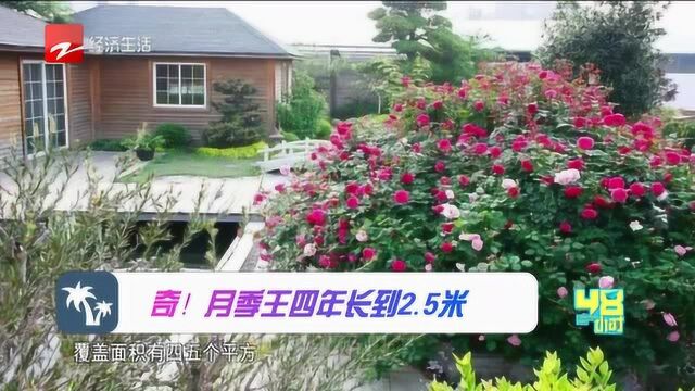 玉环人造湿地:漩门湾不是海市蜃楼,而是实实在在的人间仙境