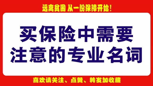 「保险小百科」买保险中需要注意的专业名词