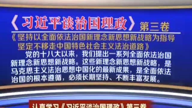 积极发展社会主义民主政治 铸就中华文化新辉煌