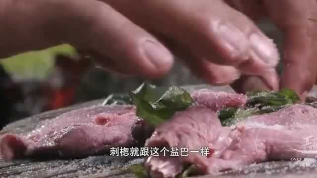 《舌尖上的中国》高山族部落烤山猪肉, 原始野外烧烤这么吃才过瘾