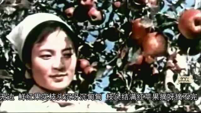 “摘苹果的姑娘”译制经典《摘苹果的时候》插曲