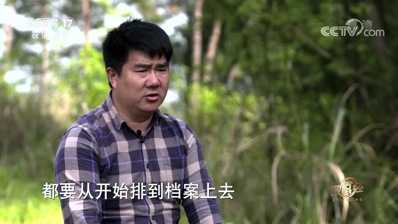 别样养猪别样生财君子爱财取之有道cctv致富经