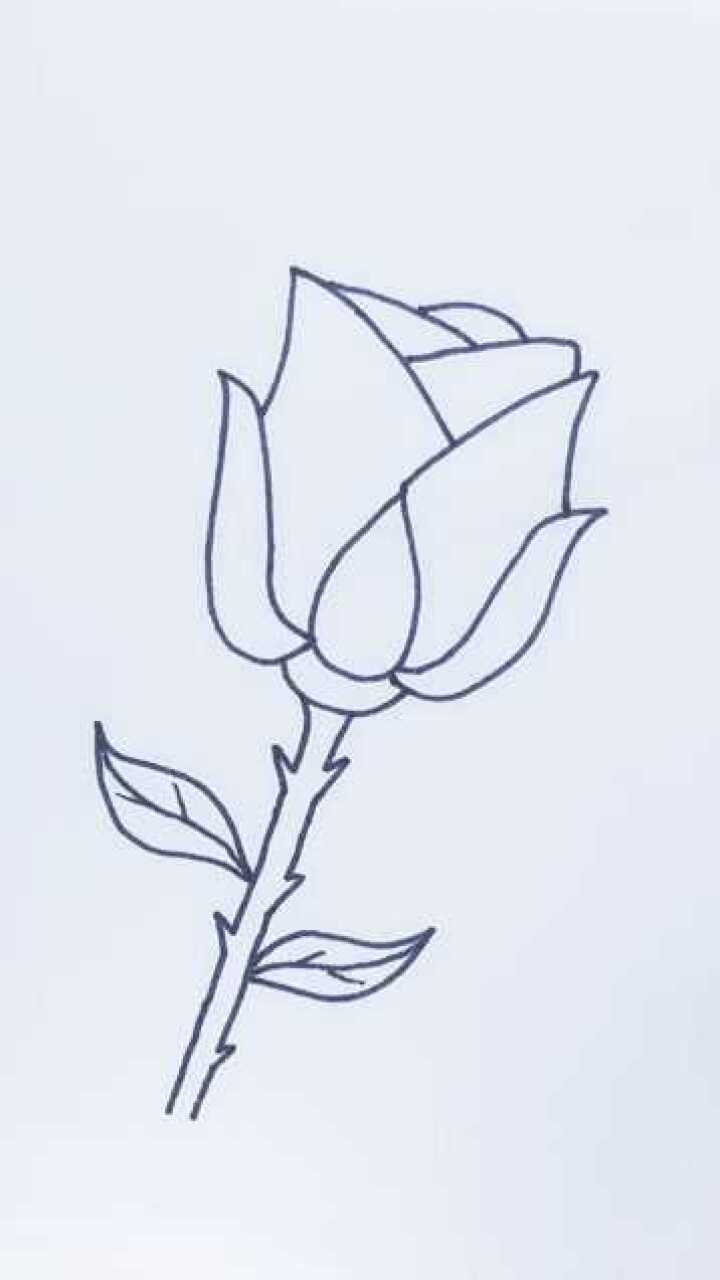 用字母y画出一朵玫瑰花简单吧