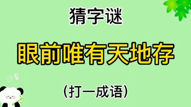 猜字谜“眼前唯有天地存”打一成语