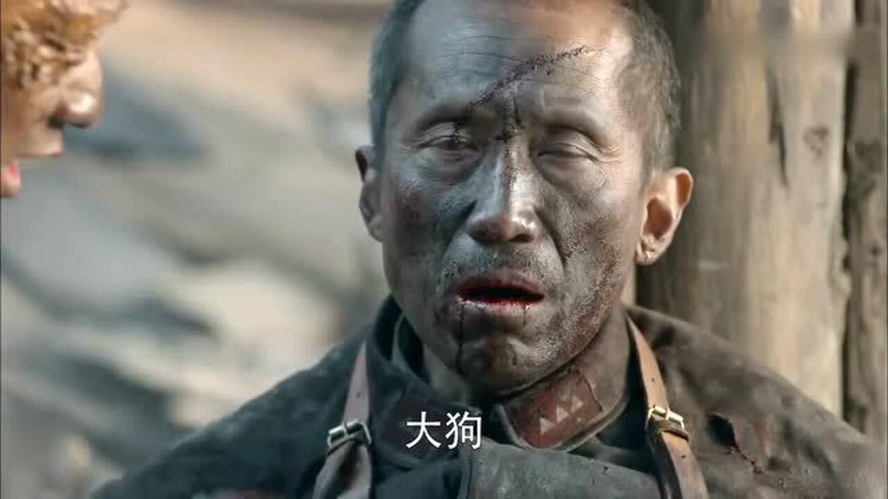 我的特一营:老猫临死前想起了姑娘,想让大狗帮忙