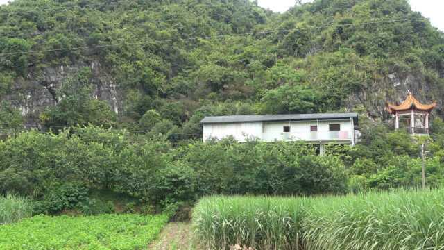 外地老板花六十万在山脚下建造\