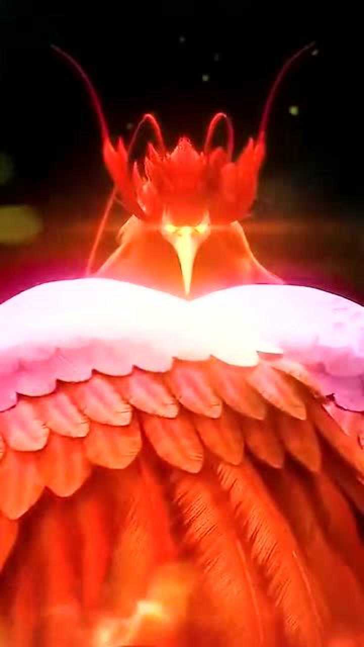 不死鸟到底是不是凤凰不死鸟和凤凰的区别是啥