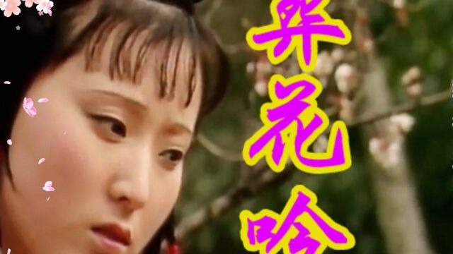 原汁原味《红楼梦》插曲《葬花吟》