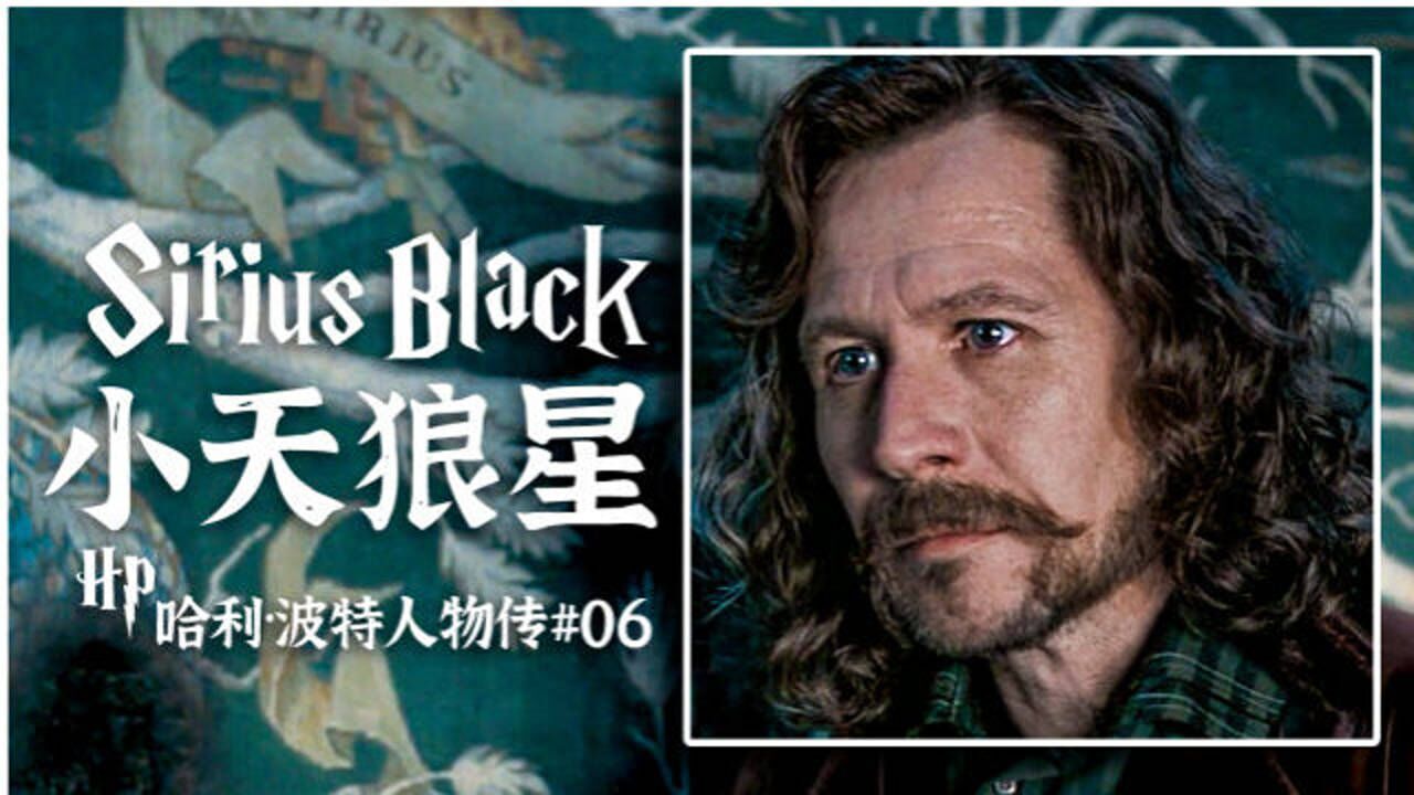 哈利波特人物传6:细读教父小天狼星的至暗半生
