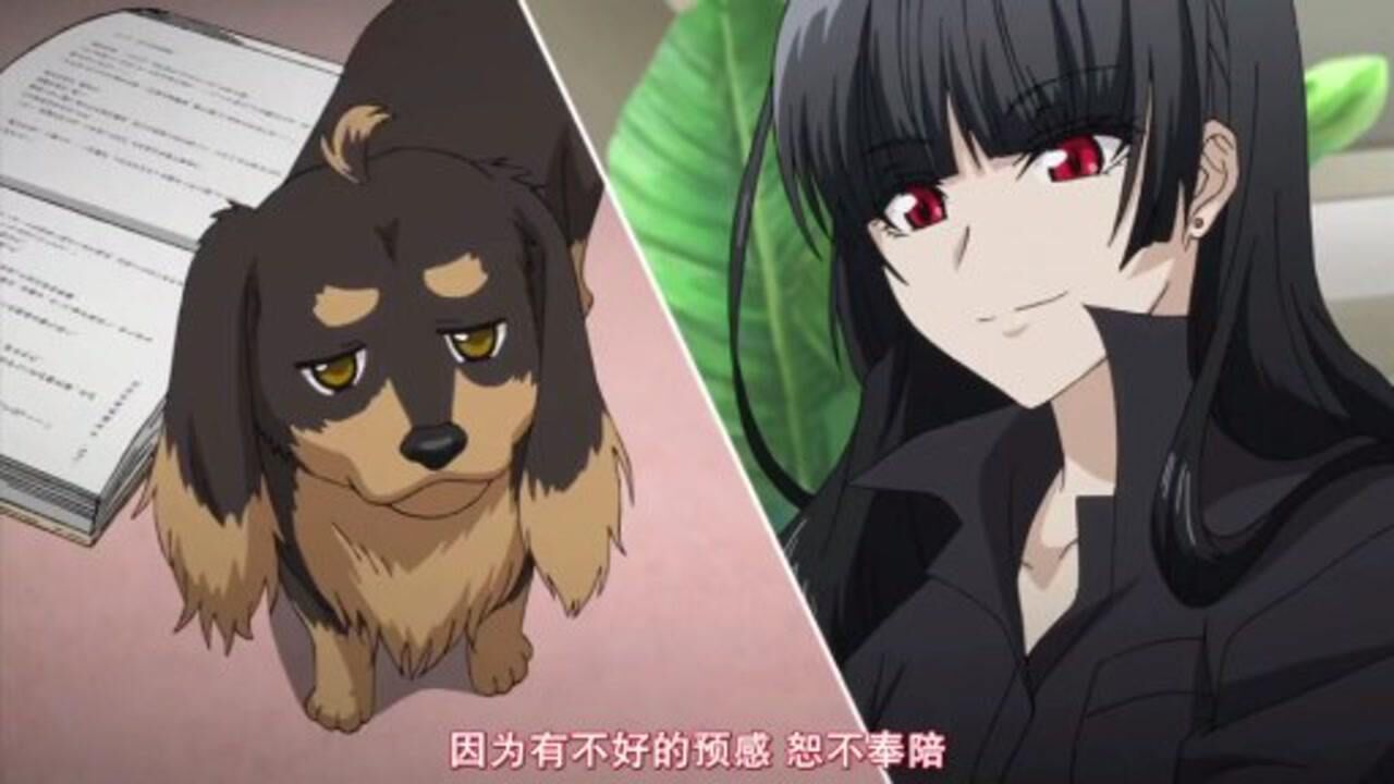 女人与狗的故事就这样展开了_高清