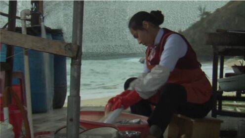 海鲜大排档新来了个女服务员，她的身份并不简单，速看《平静的海滩》