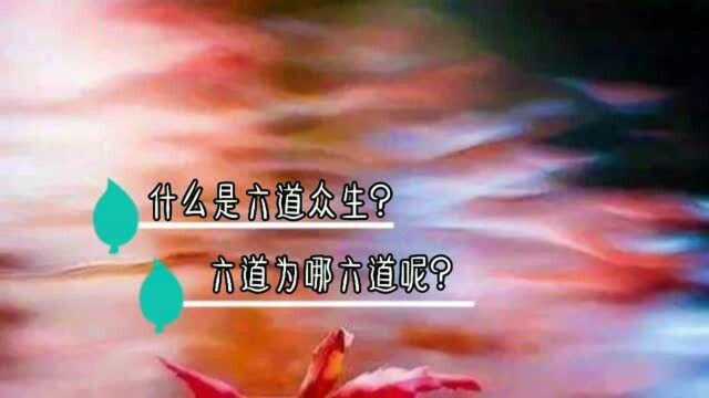 什么是六道众生?六道为哪六道呢?