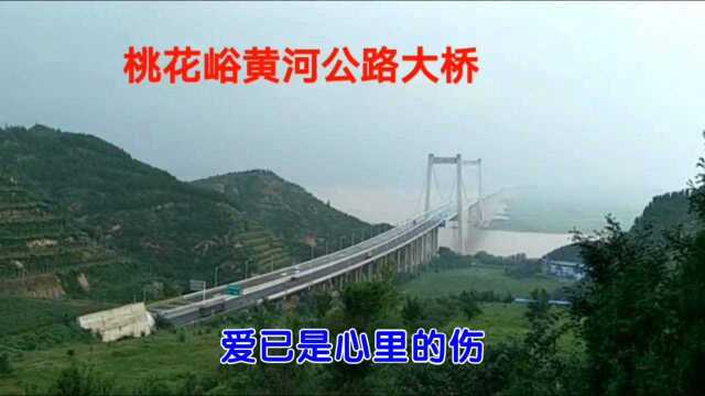 歌曲欣赏《秋风》记录晨骑桃花峪黄河公路大桥、锦和湿地公园拍摄视频!#纪录片vlog征集大赛#