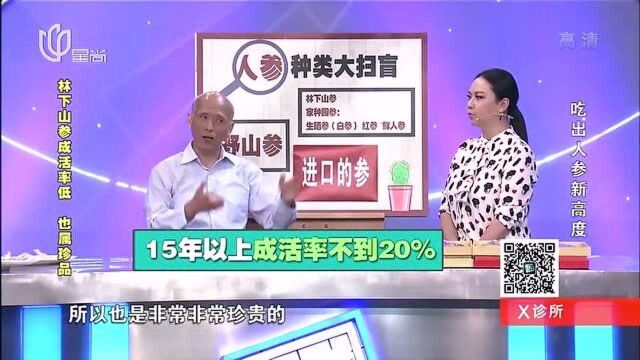 林下山参成活率很低,也属于珍品,环境主要做到这三点